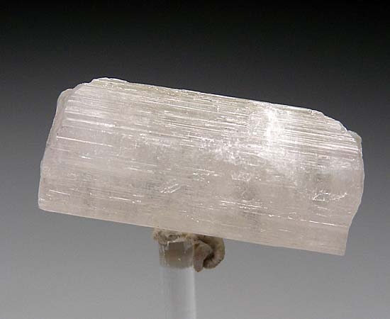 Tourmaline var. Achroite from Stewart Mine, Pala, San Diego Co., California, USA [db_pics/pics/c582a.jpg]