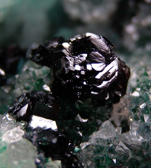 Clinoatacamite from Lily Mine, Ica Department, Peru [db_pics/pics/c585d.jpg]