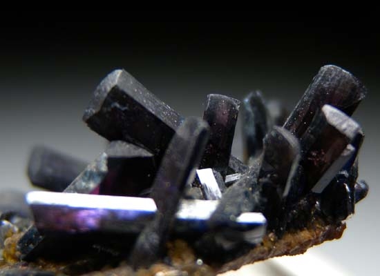 Vivianite from Blackbird Mine, Lemhi Co., Idaho, USA [db_pics/pics/c616b.jpg]