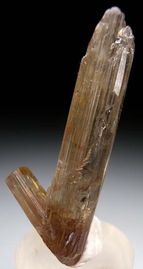 Diaspore from Aydun, Mugula, Turkey [db_pics/pics/c619b.jpg]