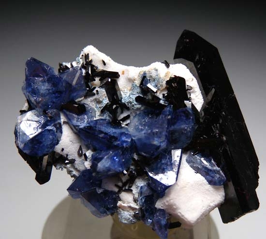 Benitoite with Neptunite from Gem Mine, San Benito Co., California, USA [db_pics/pics/c655a.jpg]