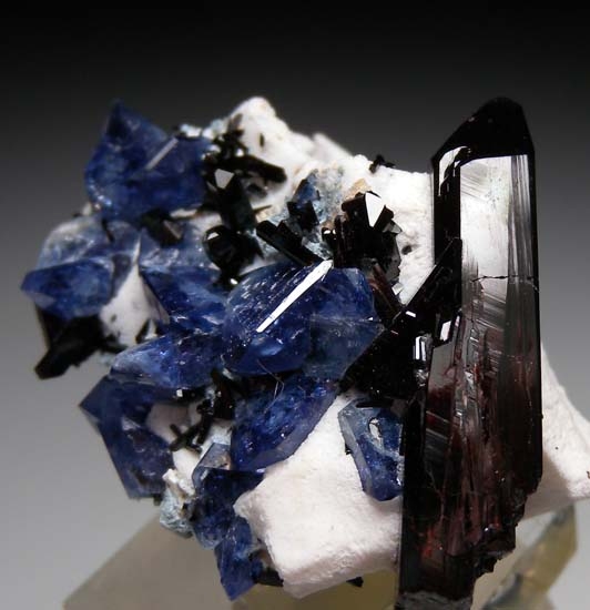 Benitoite with Neptunite from Gem Mine, San Benito Co., California, USA [db_pics/pics/c655d.jpg]