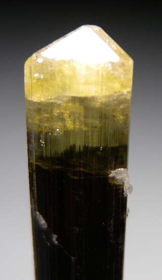 Tourmaline from Stak Nala, Skardu, Pakistan [db_pics/pics/c658a.jpg]