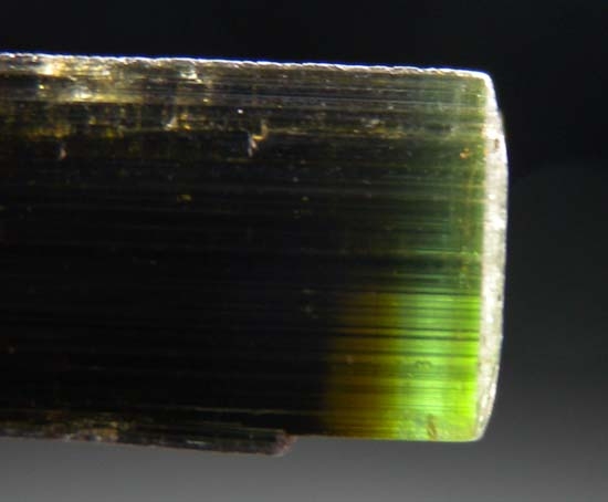 Tourmaline from Stak Nala, Skardu, Pakistan [db_pics/pics/c658b.jpg]