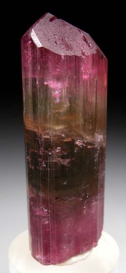 Tourmaline from Himalaya Mine, Mesa Grande, San Diego Co., California, USA [db_pics/pics/c661b.jpg]