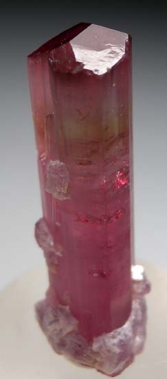 Tourmaline from Himalaya Mine, Mesa Grande, San Diego Co., California, USA [db_pics/pics/c662c.jpg]