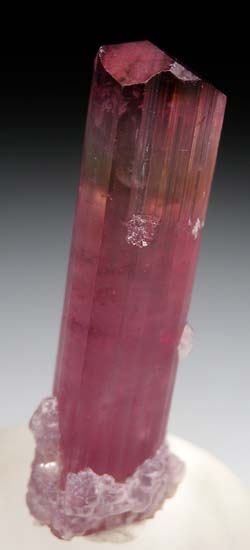 Tourmaline from Himalaya Mine, Mesa Grande, San Diego Co., California, USA [db_pics/pics/c662d.jpg]