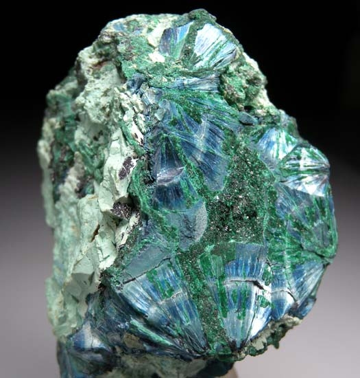 Shattuckite from L'Etoile, Lumbumbashi, Katanga, Congo (DRC) [db_pics/pics/c665b.jpg]