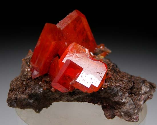 Wulfenite from Red Cloud Mine, La Paz Co., Arizona, USA [db_pics/pics/c667b.jpg]
