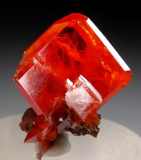 Wulfenite from Red Cloud Mine, La Paz Co., Arizona, USA [db_pics/pics/c668a.jpg]