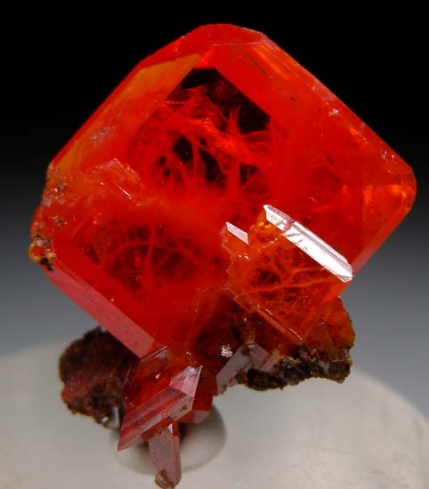 Wulfenite from Red Cloud Mine, La Paz Co., Arizona, USA [db_pics/pics/c668b.jpg]