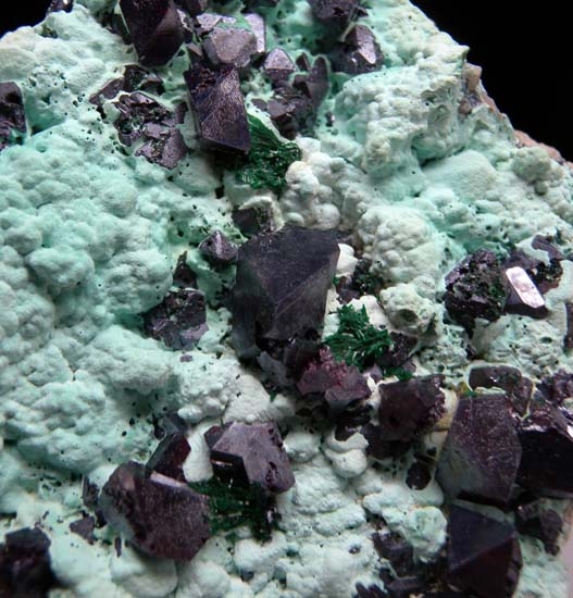Cuprite on Chrysocolla from Mashamba West Mine, Katanga, Congo [db_pics/pics/c675b.jpg]