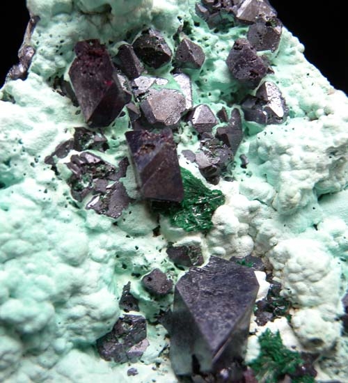 Cuprite on Chrysocolla from Mashamba West Mine, Katanga, Congo [db_pics/pics/c675d.jpg]