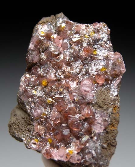 Natanite with Rhodochrosite from Level 10, El Potosi Mine, Santa Eulalia, Chihuahua, Mexico [db_pics/pics/c679b.jpg]