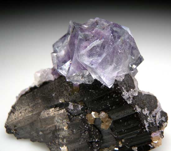 Fluorite on Ferberite from Yaogangxian Mine, Hunan, China [db_pics/pics/ch103b.jpg]