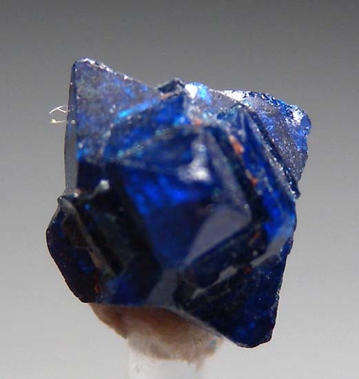 Cumengeite from Amelia Mine, Santa Rosalia, Baja Sur, Mexico [db_pics/pics/cm100a.jpg]