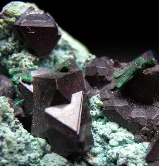 Cuprite on Chrysocolla from Mashamba West Mine, Shaba Prov., Congo [db_pics/pics/co100g.jpg]