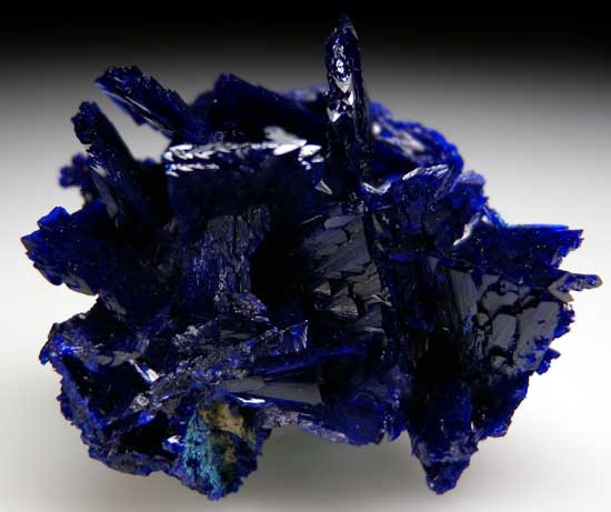 Azurite from Nchanga Mine, Chingola, Zambia [db_pics/pics/co104a.jpg]