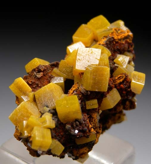 Wulfenite from Mina Oujela, Mapimi, Durango, Mexico [db_pics/pics/d104b.jpg]