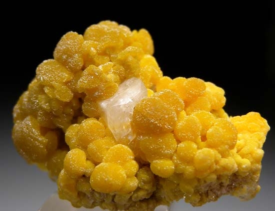 Cerussite on Mimetite from Santa Eulalia, Chihuahua, Mexico [db_pics/pics/d106a.jpg]