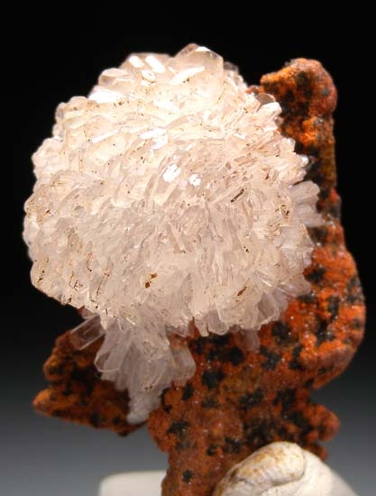 Hemimorphite from Santa Eulalia, Chihuahua, Mexico [db_pics/pics/d107a.jpg]