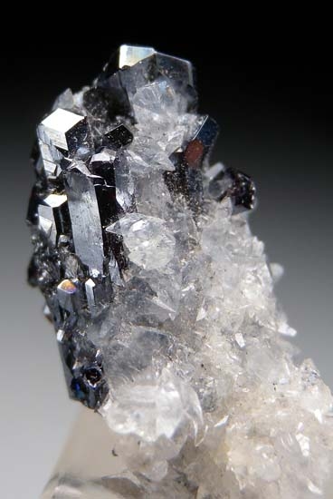 Pyrargyrite from Mina El Solar ,Veta Chicharrones, 5th level, Taxco de AlarcÃ³n, Guerrero, Mexico [db_pics/pics/d110b.jpg]