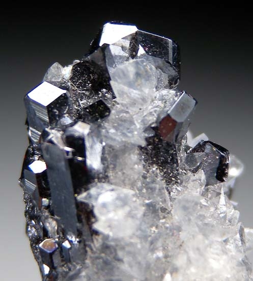 Pyrargyrite from Mina El Solar ,Veta Chicharrones, 5th level, Taxco de AlarcÃ³n, Guerrero, Mexico [db_pics/pics/d110c.jpg]