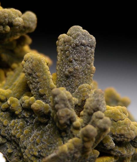 Mottramite over/after Quartz from Mina Oujela, Mapimi, Durango, Mexico [db_pics/pics/d126c.jpg]