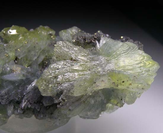 Prehnite from Merelani Hills, Arusha, Tanzania [db_pics/pics/d152e.jpg]