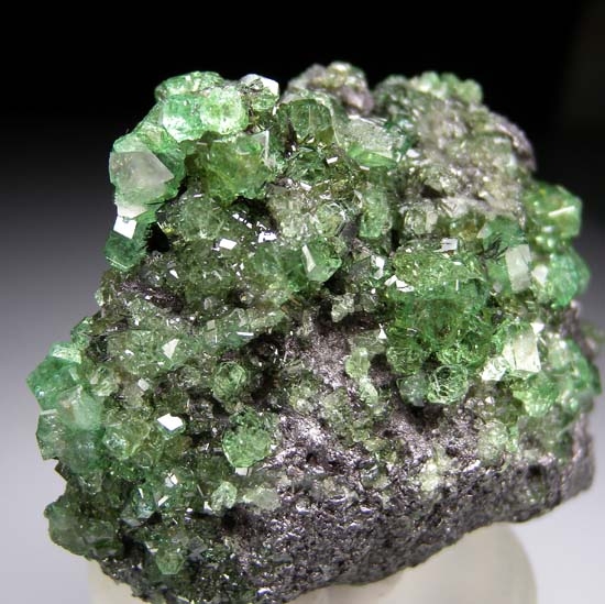 Tsavorite on Graphite from Merelani Hills, Arusha, Tanzania [db_pics/pics/d153d.jpg]