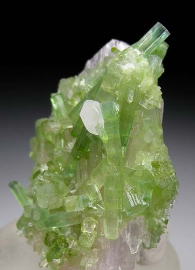 Tourmaline on Kunzite from Laghman, Afghanistan [db_pics/pics/d159e.jpg]