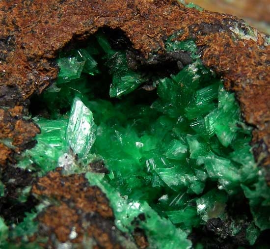Annabergite from Kilometer 3 Mine, Laurion, Greece [db_pics/pics/e122b.jpg]