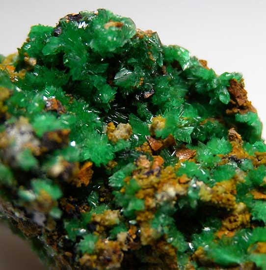 Annabergite from Kilometer 3 Mine, Laurion, Greece [db_pics/pics/e123c.jpg]