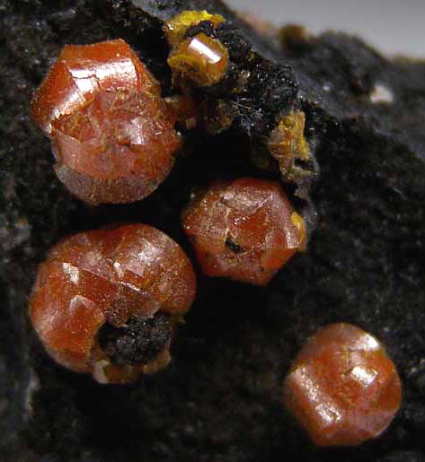 Mimetite var. Campylite from Dry Gill Mine, Caldbeck Fells, Cumbria, England [db_pics/pics/e124b.jpg]