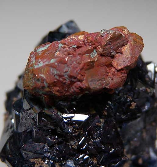 Cuprite with Silver and Copper from Poteryaevskoe Mine, Rubtsovskoe deposit, Siberia, Russia [db_pics/pics/e222c.jpg]