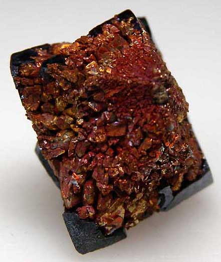 Cuprite and Copper from Poteryaevskoe Mine, Rubtsovskoe deposit, Siberia, Russia [db_pics/pics/e226c.jpg]