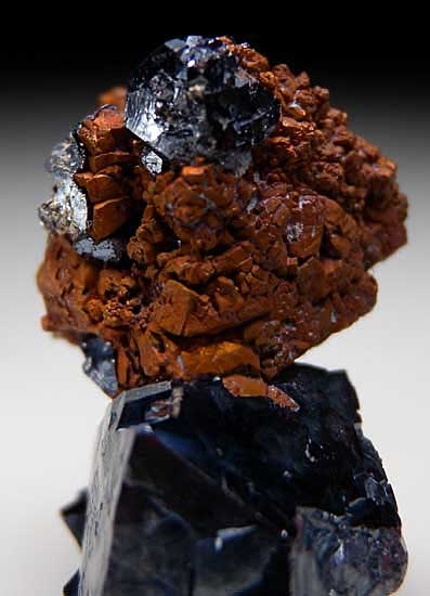 Cuprite on Copper with Silver from Poteryaevskoe Mine, Rubtsovskoe deposit, Siberia, Russia [db_pics/pics/e233c.jpg]