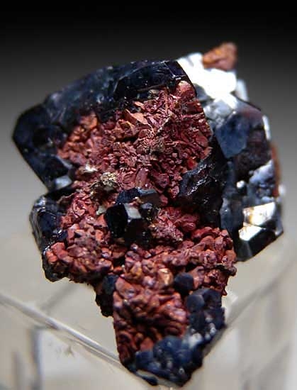 Cuprite and Copper from Poteryaevskoe Mine, Rubtsovskoe deposit, Siberia, Russia [db_pics/pics/e234c.jpg]