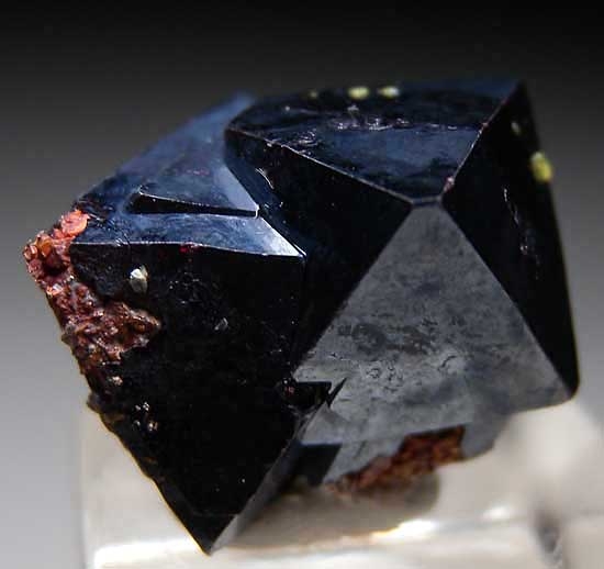 Cuprite and Copper from Poteryaevskoe Mine, Rubtsovskoe deposit, Siberia, Russia [db_pics/pics/e235a.jpg]