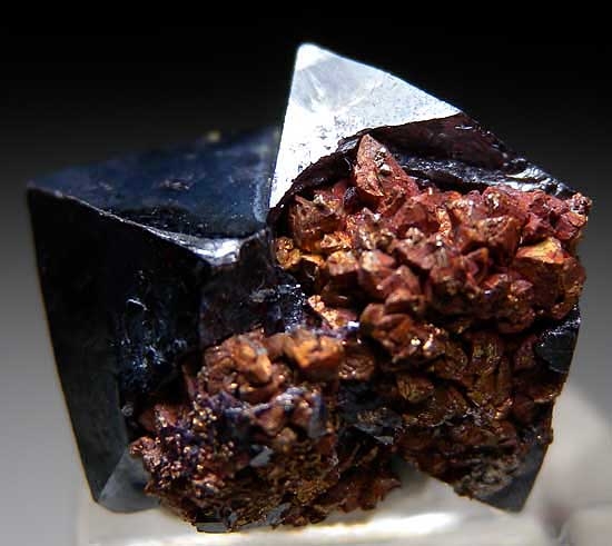 Cuprite and Copper from Poteryaevskoe Mine, Rubtsovskoe deposit, Siberia, Russia [db_pics/pics/e235b.jpg]