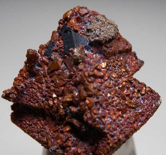 Copper after Cuprite with Silver from Poteryaevskoe Mine, Rubtsovskoe Deposit, Western Siberia, Russia [db_pics/pics/e238c.jpg]