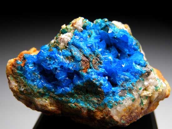 Liroconite from Wheal Gorland, Gwennap, Cornwall, England [db_pics/pics/e389a.jpg]