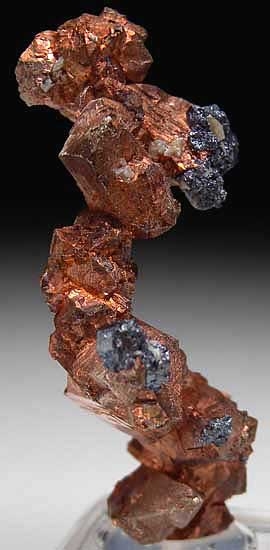 Cuprite on Copper from Rubtsovskiy Mine, Altayskiy Kray, Siberia, Russia [db_pics/pics/e578b.jpg]