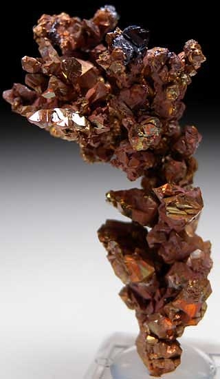 Cuprite on Copper from Rubtsovskiy Mine, Altayskiy Kray, Siberia, Russia [db_pics/pics/e579a.jpg]