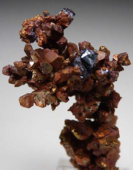 Cuprite on Copper from Rubtsovskiy Mine, Altayskiy Kray, Siberia, Russia [db_pics/pics/e579b.jpg]
