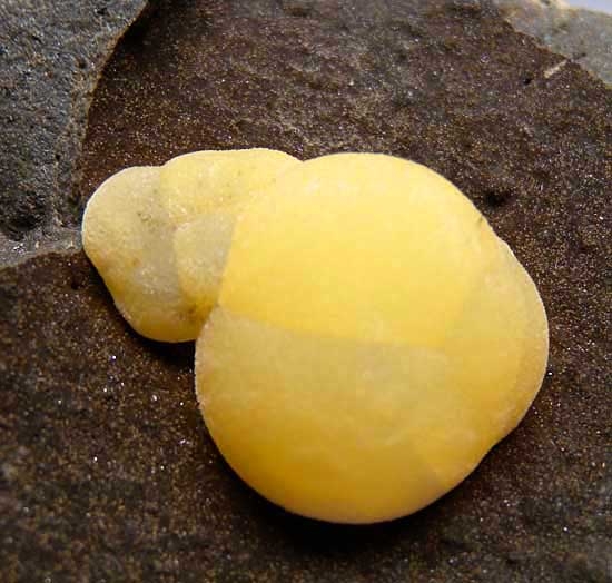Calcite from Castro Quarry, Montalto district, Lazio, Italy [db_pics/pics/e590b.jpg]