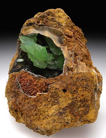 Anapaite in Fossil Bivalve from Kertch, Crimea, Ukraine [db_pics/pics/e601a.jpg]