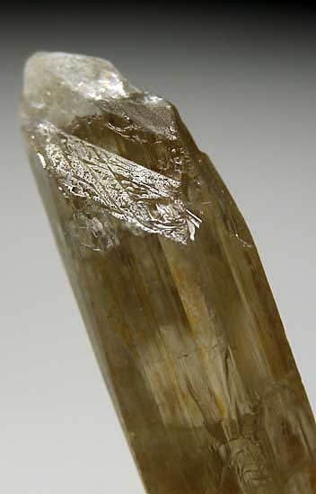 Diaspore from Aydun, Mugula, Turkey [db_pics/pics/e613b.jpg]