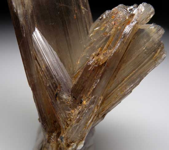 Diaspore from Aydun, Mugula, Turkey [db_pics/pics/e628b.jpg]