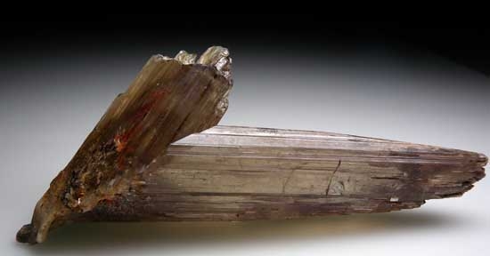 Diaspore from Aydun, Mugula, Turkey [db_pics/pics/e628c.jpg]